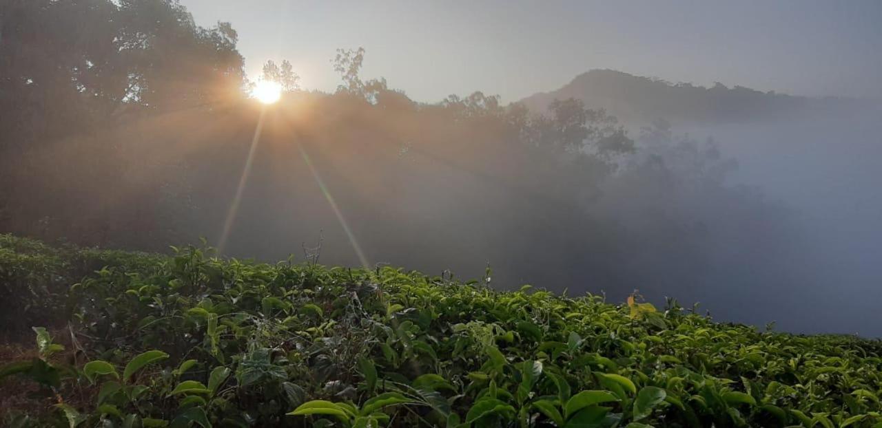 Cassells Jungle Resorts Thekkady Vandiperiyar Ngoại thất bức ảnh