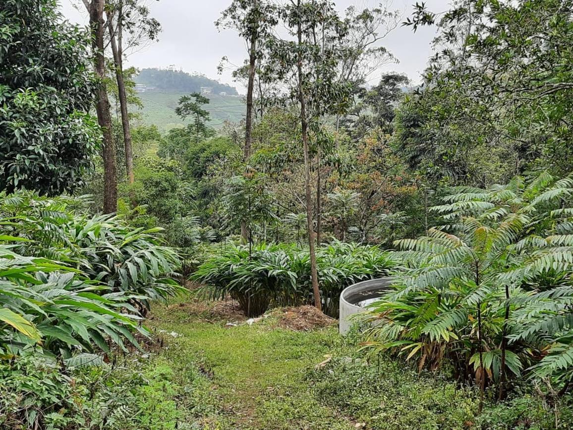 Cassells Jungle Resorts Thekkady Vandiperiyar Ngoại thất bức ảnh