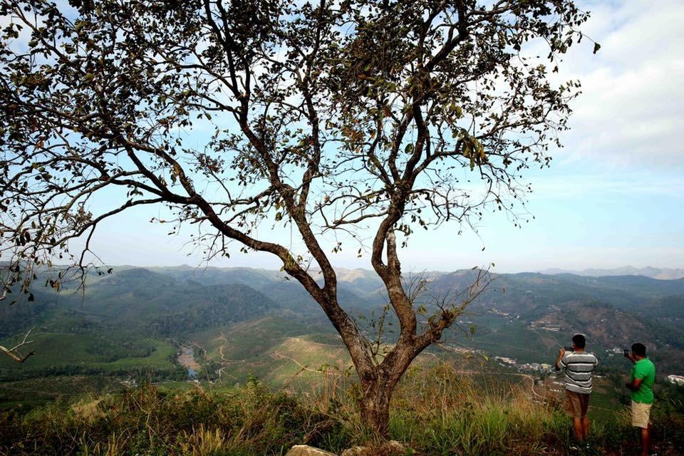Cassells Jungle Resorts Thekkady Vandiperiyar Ngoại thất bức ảnh
