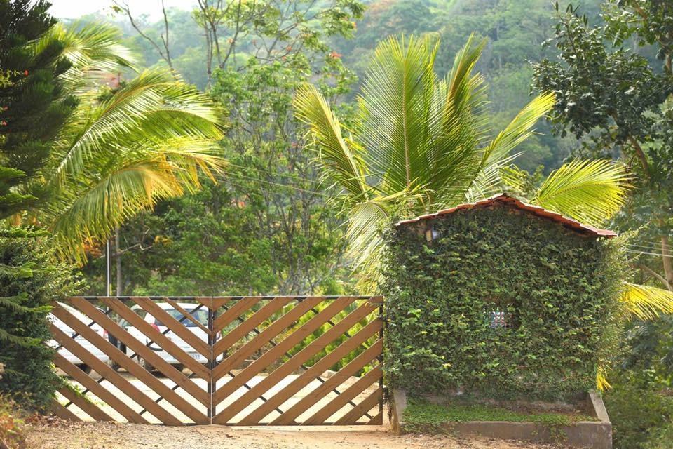 Cassells Jungle Resorts Thekkady Vandiperiyar Ngoại thất bức ảnh
